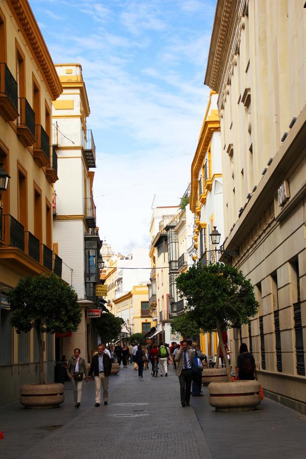 Ole - Plaza Nueva Terraza