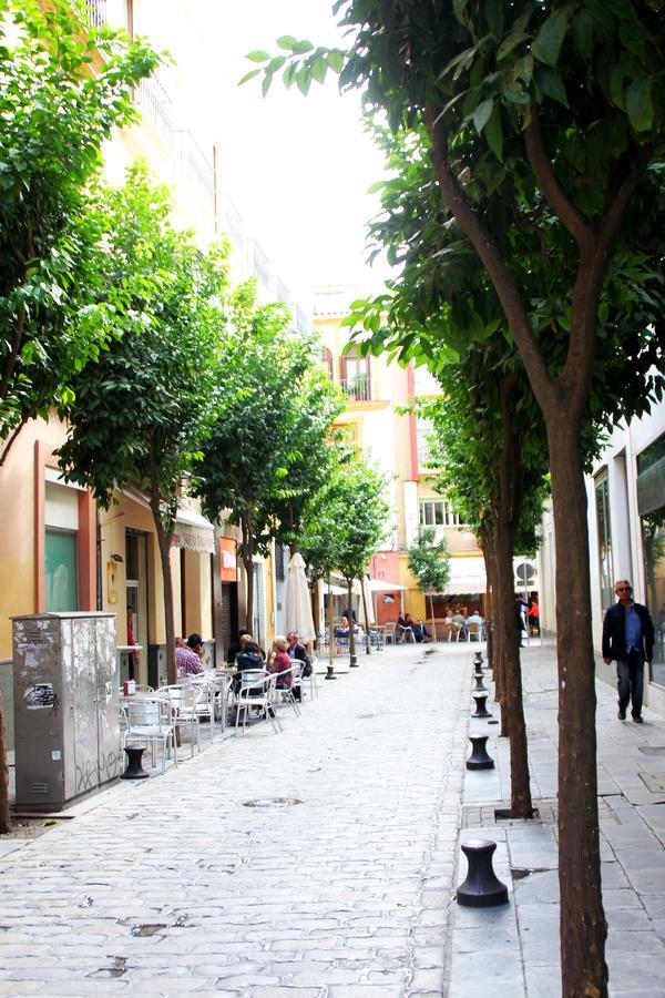 Ole - Plaza Nueva Terraza * Seville